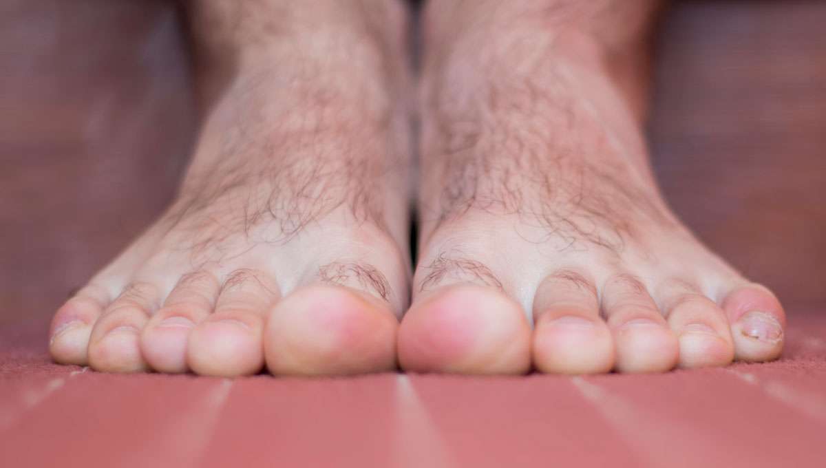 andrew pfeiff recommends Hairy Men Feet