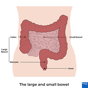 How Big Is Too Big For Anal whipping post