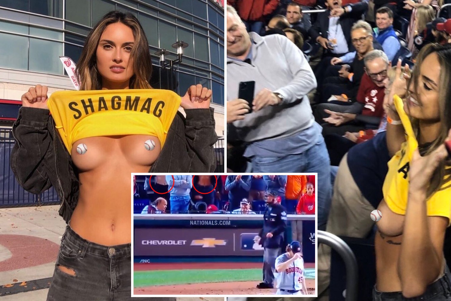 bob aronica recommends fans flashing tits pic