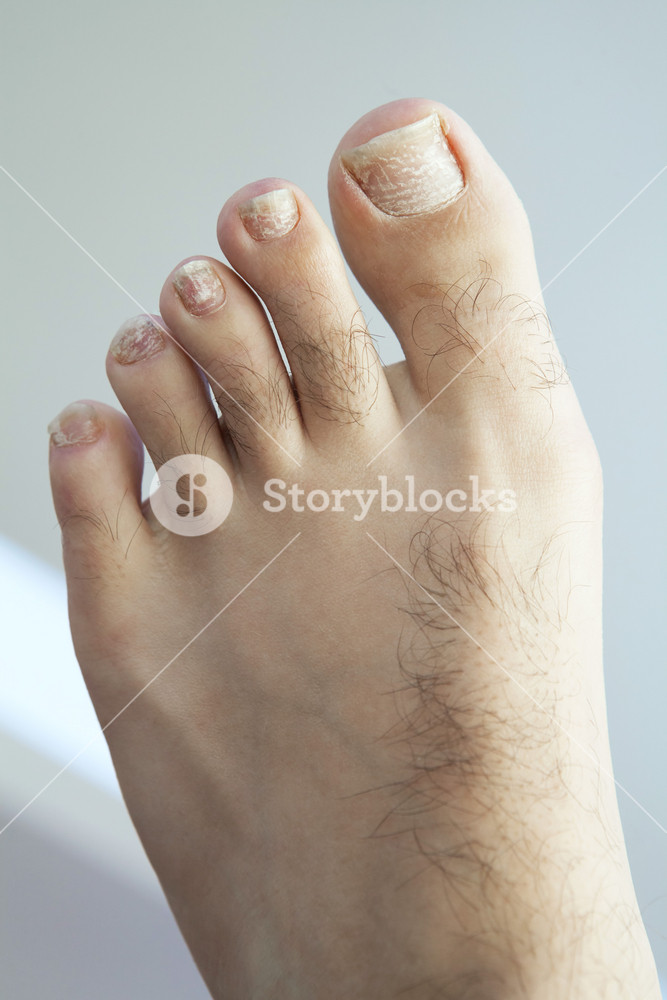 alex chamizo recommends Hairy Men Feet