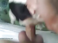 Best of Man fucks cat