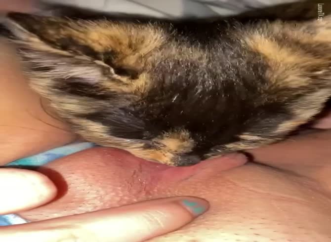 ahmad talmizi recommends Cat Pussy Lick