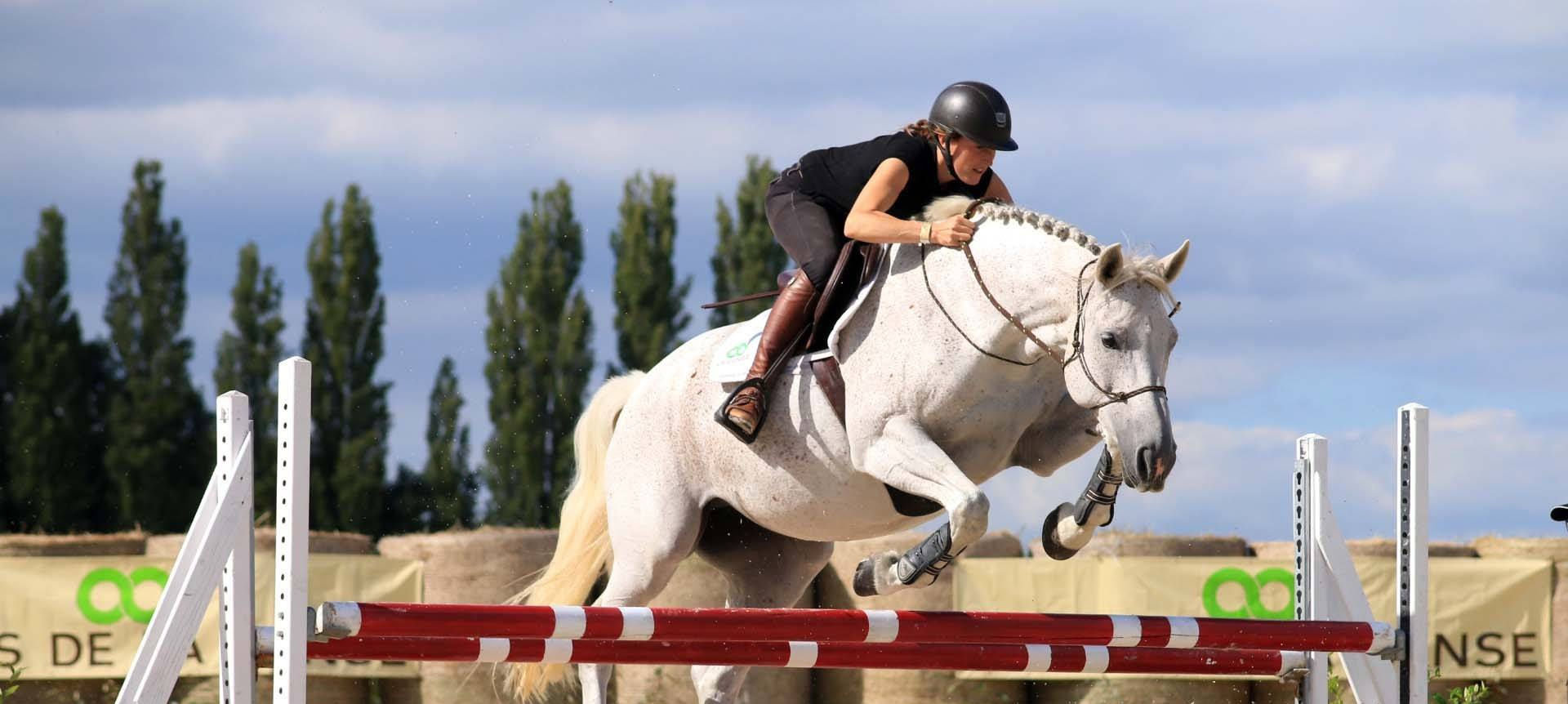 amr sheir share brunette prone bone photos