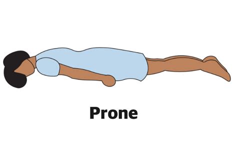 aristotle mendoza recommends Brunette Prone Bone