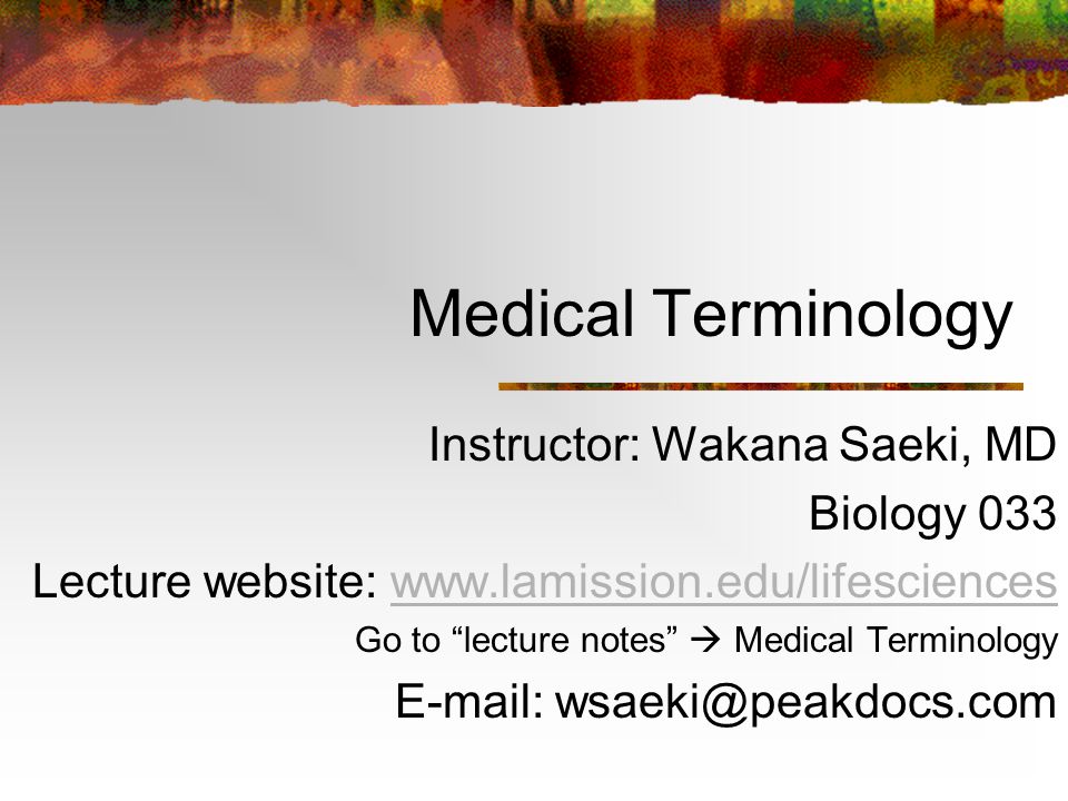 don scaturro recommends Dr Wakana Saeki