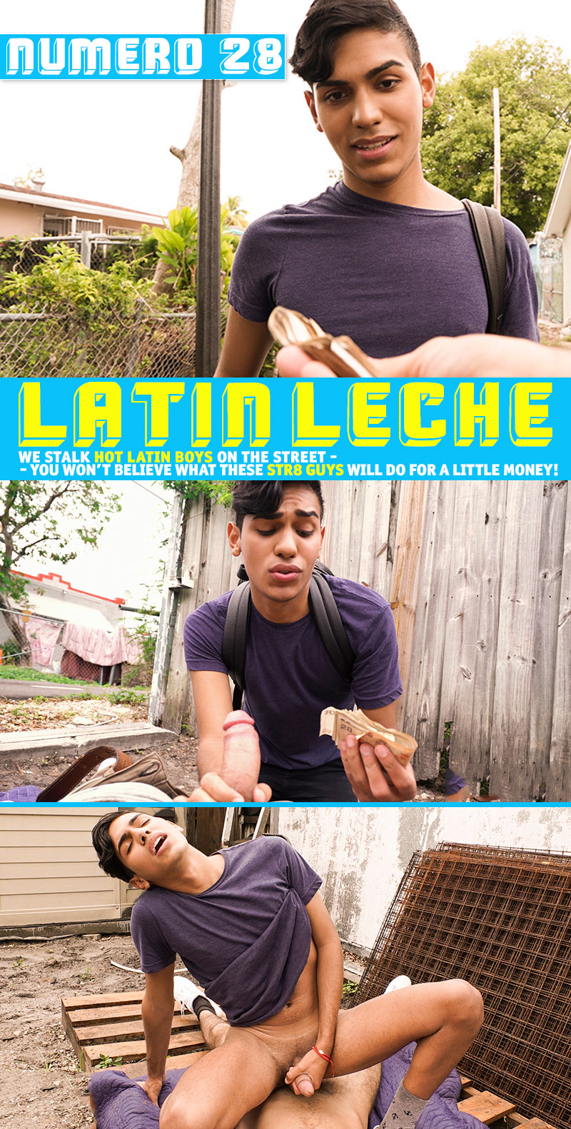 latin leche 28