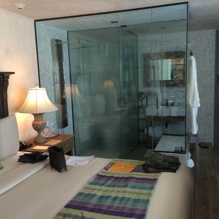 desirae peters add olive glass shower photo