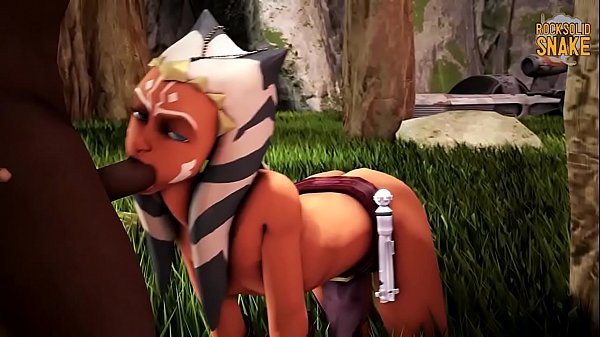 brandi howland recommends star wars animated porn pic