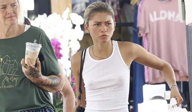 alexander estorpe recommends Zendaya Nipple